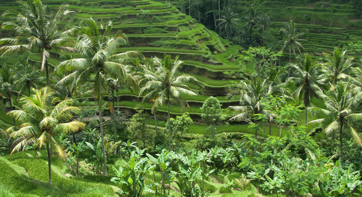 Bali Beyond the Beach Clubs: Ubud Wellness for the Over-50s