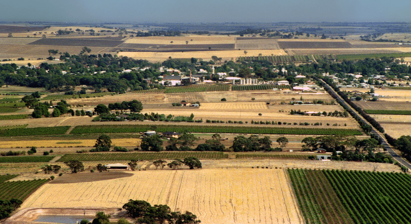 The Barossa Without the Driving Worry: A Cellar-Door Day for Over-50s