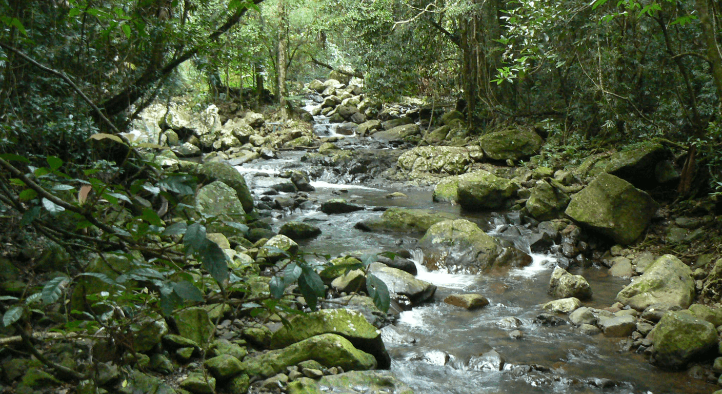 The Gold Coast Hinterland: Springbrook and Tamborine Mountain for Over-50s