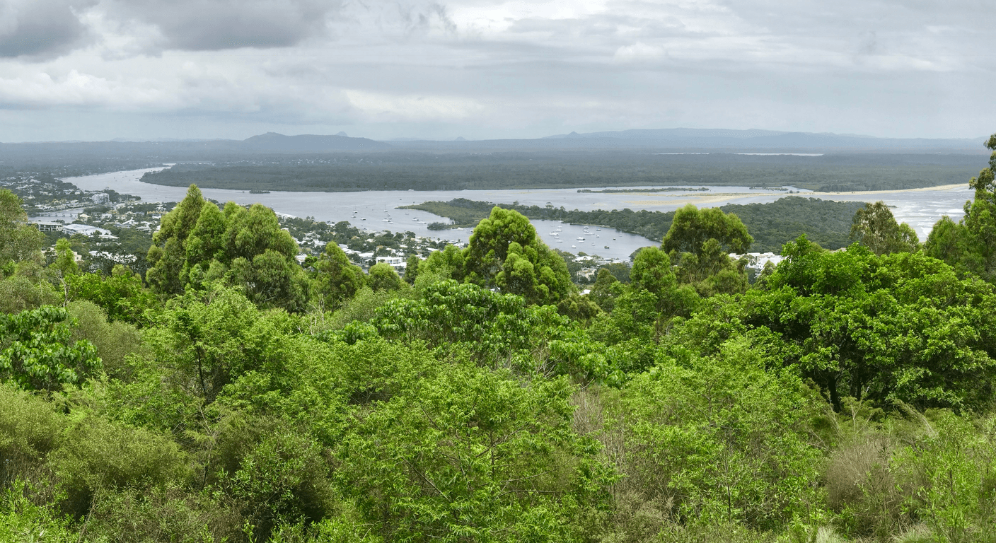 Noosa National Park: A Coastal Walk Without the Kayak