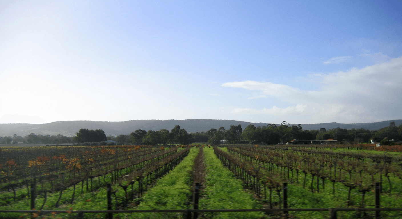 Swan Valley: Perth's Closest Wine and Food Day Trip