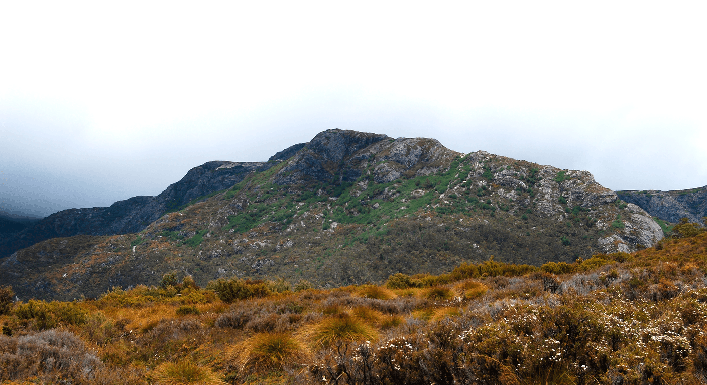 Walking Holidays in Australia: Guided, Supported and Absolutely Doable After 50